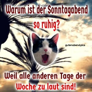 Faszinierend Sonntag Abend Lustig Fotos